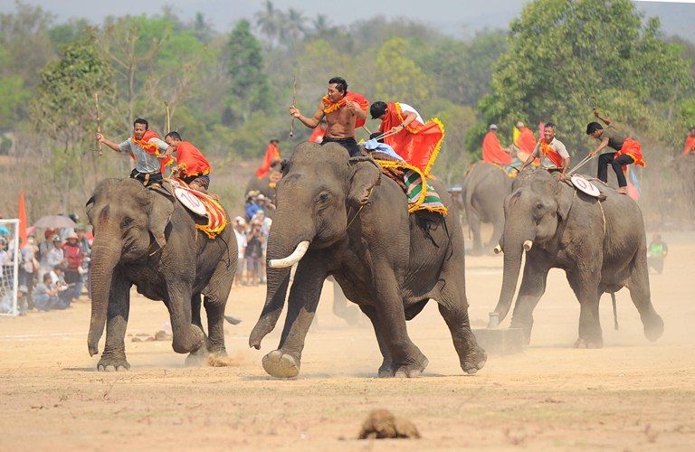 Lễ hội đua voi có ý nghĩa tôn vinh sự mưu trí, sức mạnh