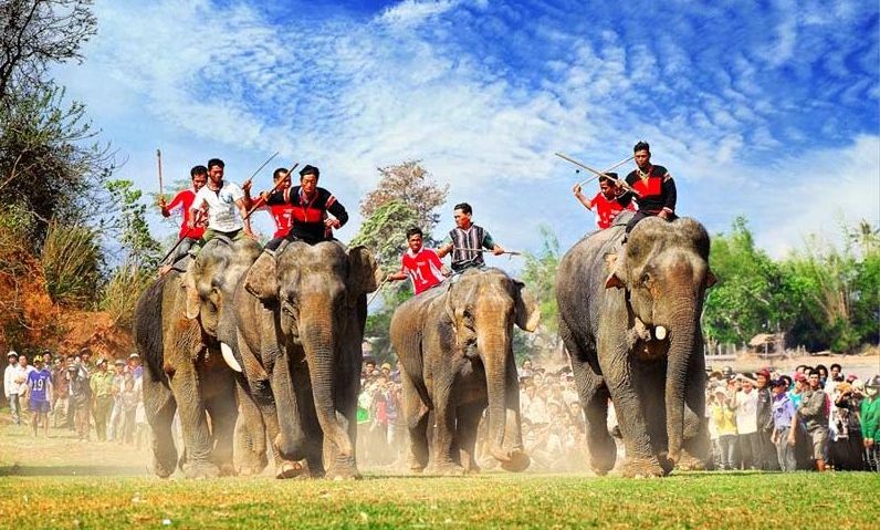 Đua voi là một trong những lễ hội đặc sắc của người Tây Nguyên