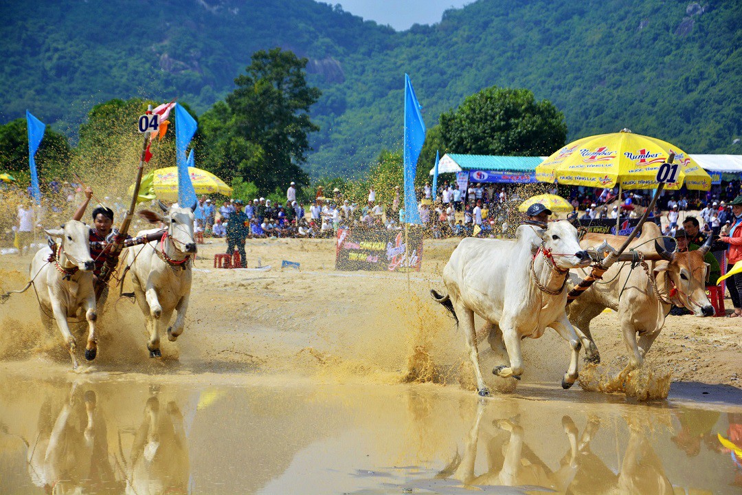 Văn hóa Miền Nam với nhiều lễ hội đặc sắc