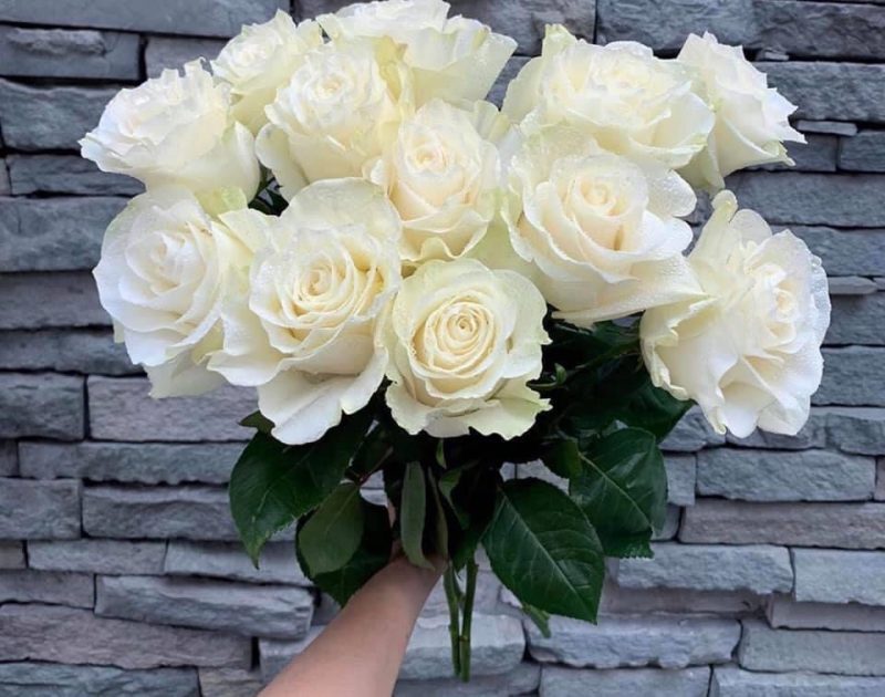 Những cách cắm hoa hồng trắng đẹp nhất bạn nên biết